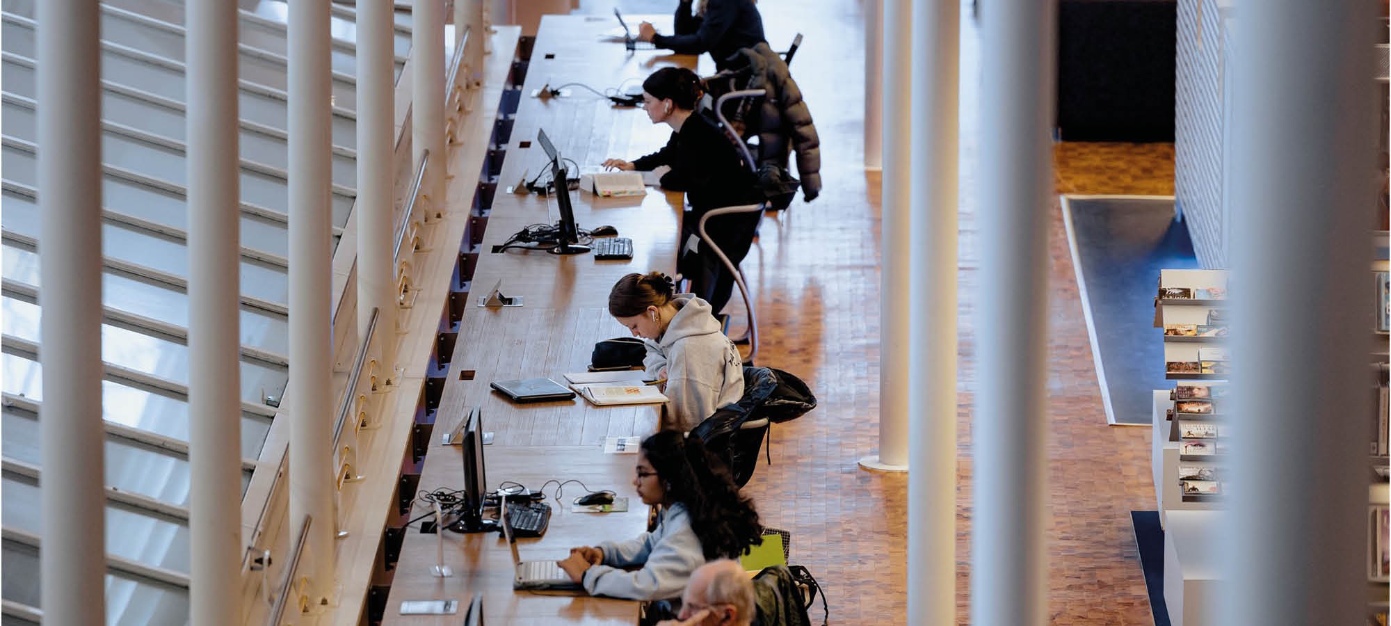 Studenten studeren in de bibliotheek